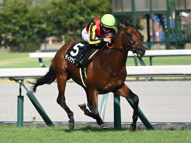【CBC賞出走馬・騎手確定】ディアナザール＆川田将雅騎手、レイピア＆横山武史騎手など18頭