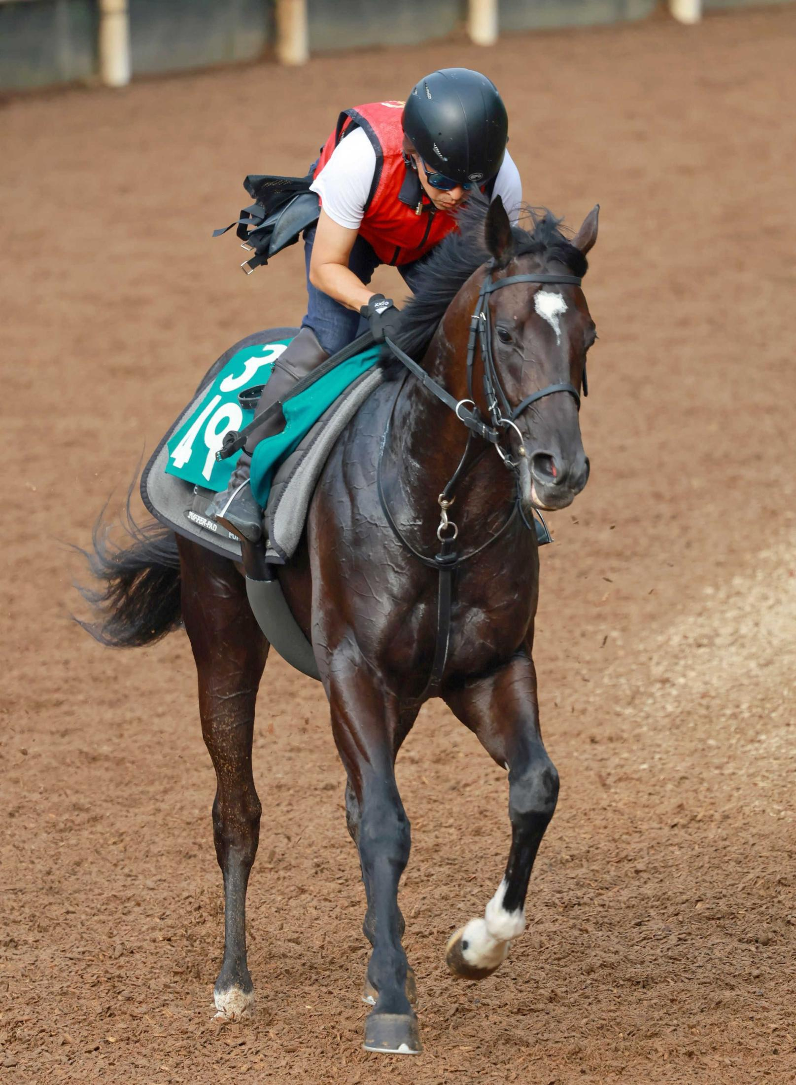【新馬戦】ドラゴンバルド　厩舎トップクラスの素質馬が初陣　取引価格２億６０００万円　福永師「不安な要素あまりない」
