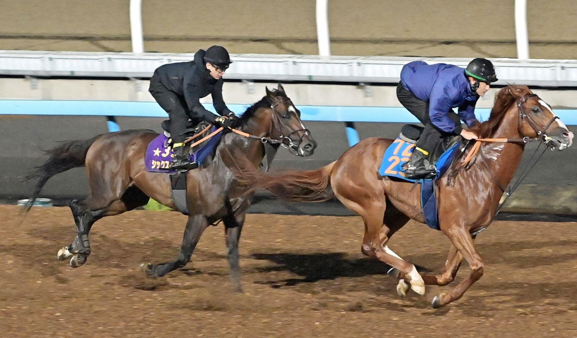 【ジャックルマロワ賞】シックスペンス　躍動感十分　田中博師「キビキビと動いていました」初の海外挑戦も不安なし