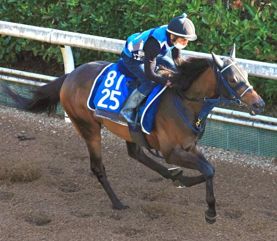 【CBC賞・データ埋蔵金】好走条件そろう前走下級条件1着&距離短縮&ロードカナロア産駒で浮上する5歳馬