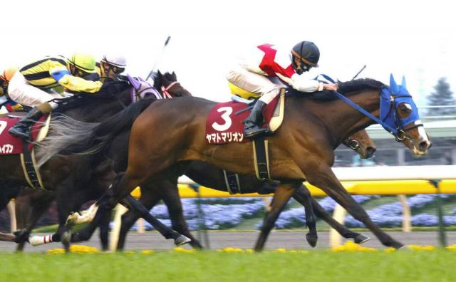 08年の東海Sで衝撃の単勝万馬券V　3連単513万円超を演出した記憶に残る二刀流牝馬　ヤマトマリオンが23歳で死す　