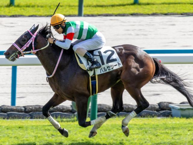 チャーチルダウンズC3着のバルセシート 自己条件で確勝期す