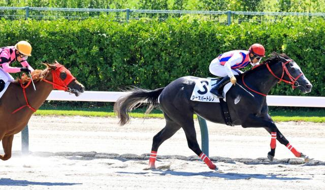 【新潟2R・2歳新馬】「余裕を持って運べました」荻野極騎手も絶賛　ジャスパートレノが初陣で見事な逃走V