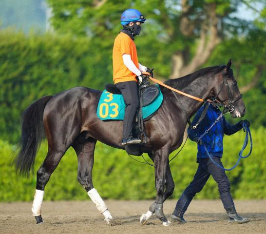 2億8000万円馬アトミックリーチ初陣4着　麻雀用語で悲鳴「和了れず」「不発で流局」「飛んだ」