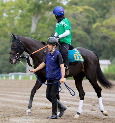 「一発は難しかったか…」話題の2・8億円馬アトミックリーチ　新潟3Rの初陣は馬券圏外の4着に沈む