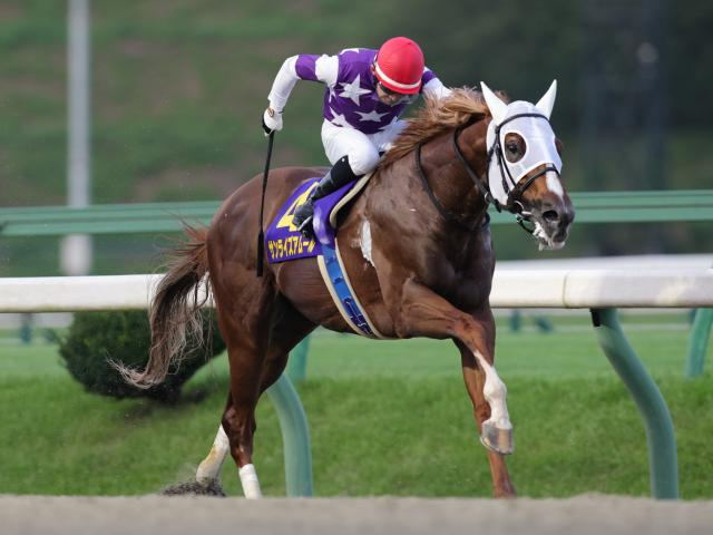 【盛岡・クラスターC枠順】岩手のお盆開催飾る短距離重賞 連覇狙うサンライズアムールは3枠3番