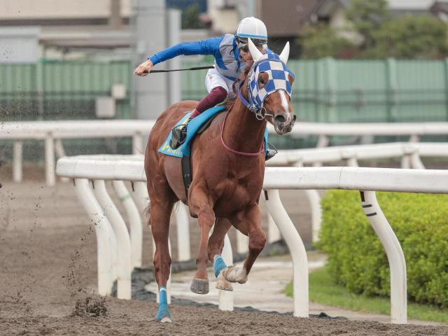 【浦和・ルーキーズサマーC枠順】南関東最初の2歳重賞 3連勝中のモリケンは6枠6番、2戦2勝のルースアグレッシブは3枠3番