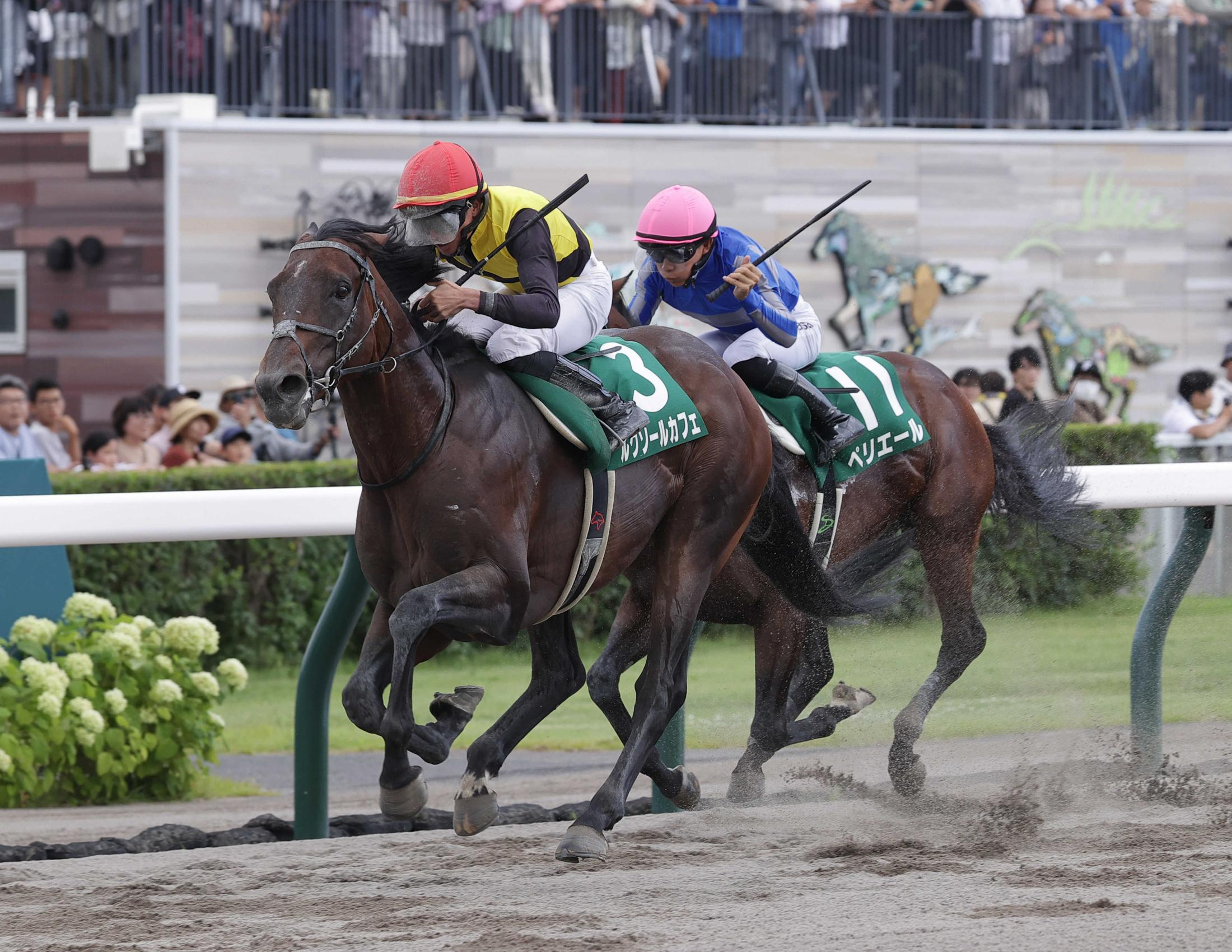 【エルムＳ】ルクソールカフェ　復活の白星！重賞２勝目　豪脚で他馬ねじ伏せる　岩田望が相棒称える「今後、飛躍してくれそう」