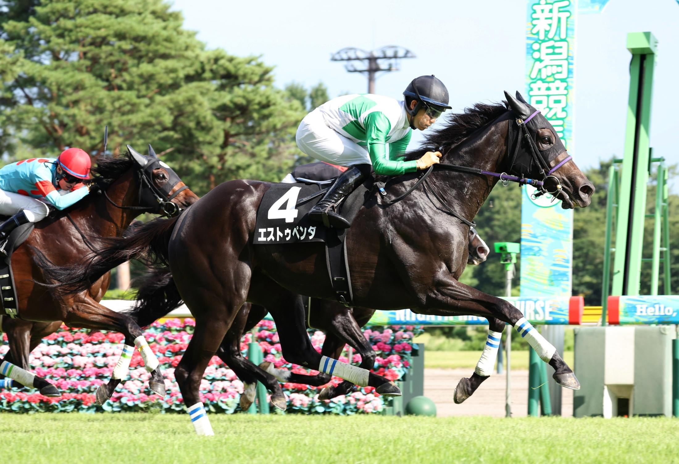 【関越Ｓ】エストゥペンダ　豪快差し切りＶ　荻野極「馬の雰囲気、走りともにとてもいい状態だった」