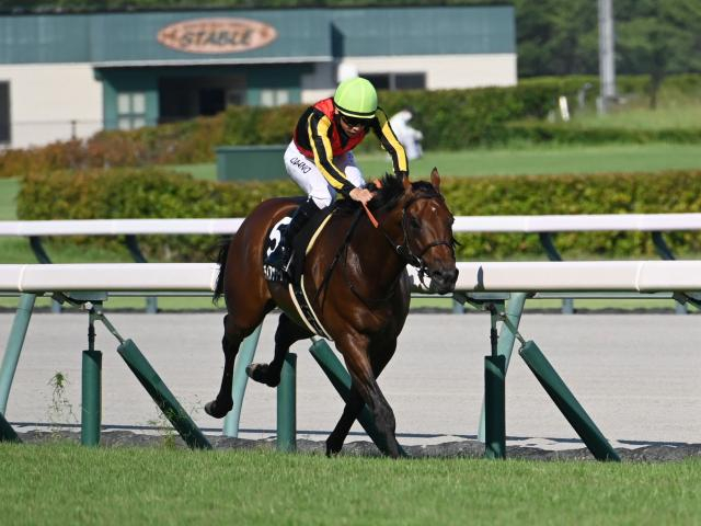 【CBC賞予想】サマースプリント第4戦 瞬発力勝負の中京芝1200mハンデ重賞