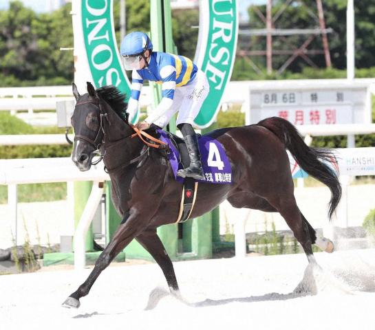【阪神アーバン競馬プレーバック】8月初のJRA交流競走はオオアバレが大暴れ!1400メートル戦で開眼