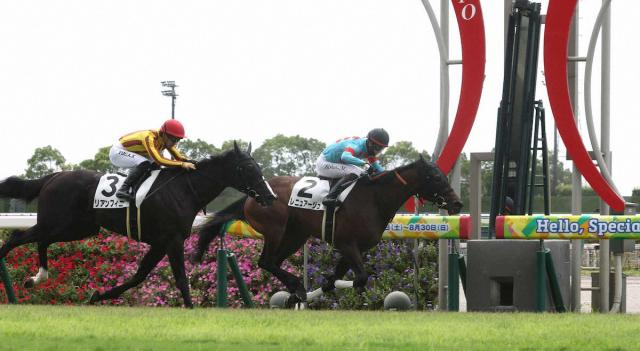 【中京新馬戦】レニュアージュV　　逃げて踏ん張る　藤原師「距離は千六前後かな」