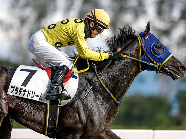 【新潟JS想定騎手】プラチナドリームは高田潤騎手、ブラックボイスは坂口智康騎手