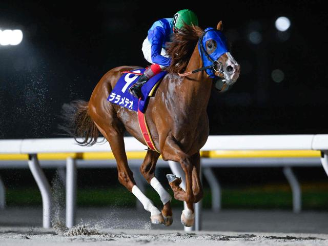【大井・黒潮盃枠順】夏の名物重賞に多士済々な3歳馬15頭 前走重賞Vのララメテオは8枠14番