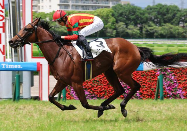 【長久手特別・松ケ下の特注馬】新馬戦で注目馬トミーバローズを撃破　3歳牝馬アーリーハーベストに期待