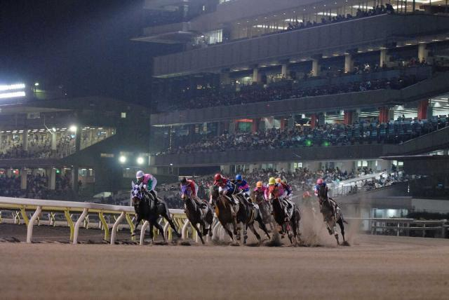 【大井競馬】8月12〜17日の最終競走で令和8年熊本地震の被災地支援競走を実施