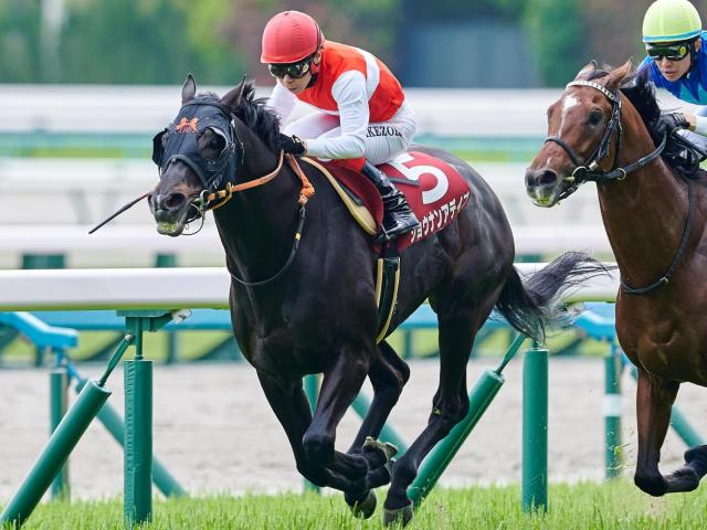 ディープ産駒が17年連続のJRA重賞制覇なるか 中京記念に良血2頭が出陣！