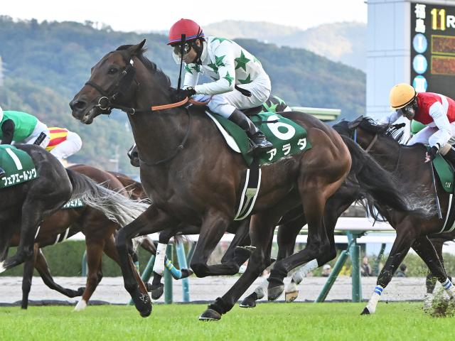 【AI予想・札幌記念】前走のクラスや距離に明確な傾向があるスーパーGII！ 意外な馬にも注目する人工知能の本命候補とは