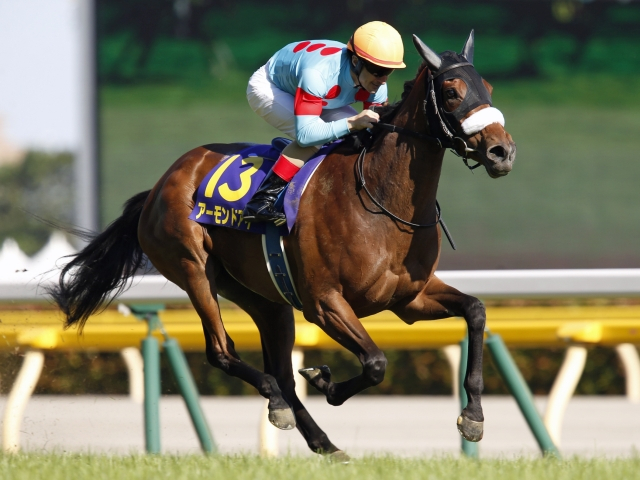 最強牝馬論争　終了する