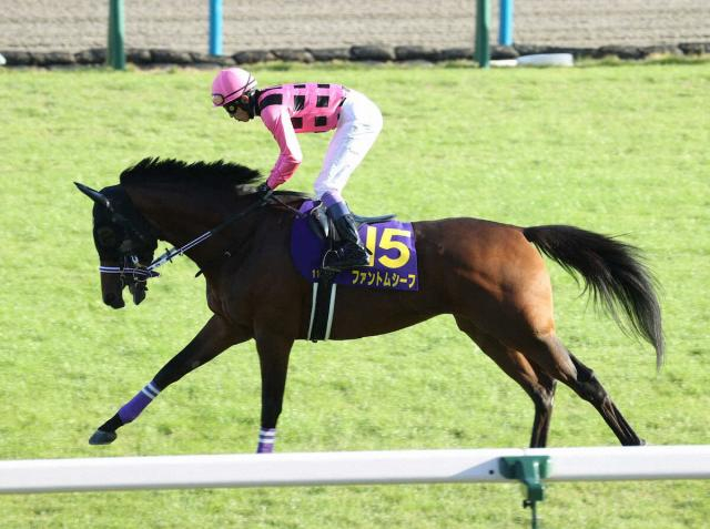 【中京記念】ファントムシーフ　3年ぶりの復帰戦　渋谷助手「凄く能力を感じる馬」
