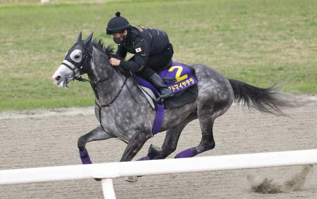 【札幌記念】前走G1組の5歳アドマイヤテラを信頼　相手は反撃期すサクラファレル