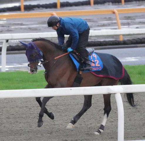 【札幌記念】ローシャムパーク　喉は劇的に良化　田中博師「ストレスなく調整できている」