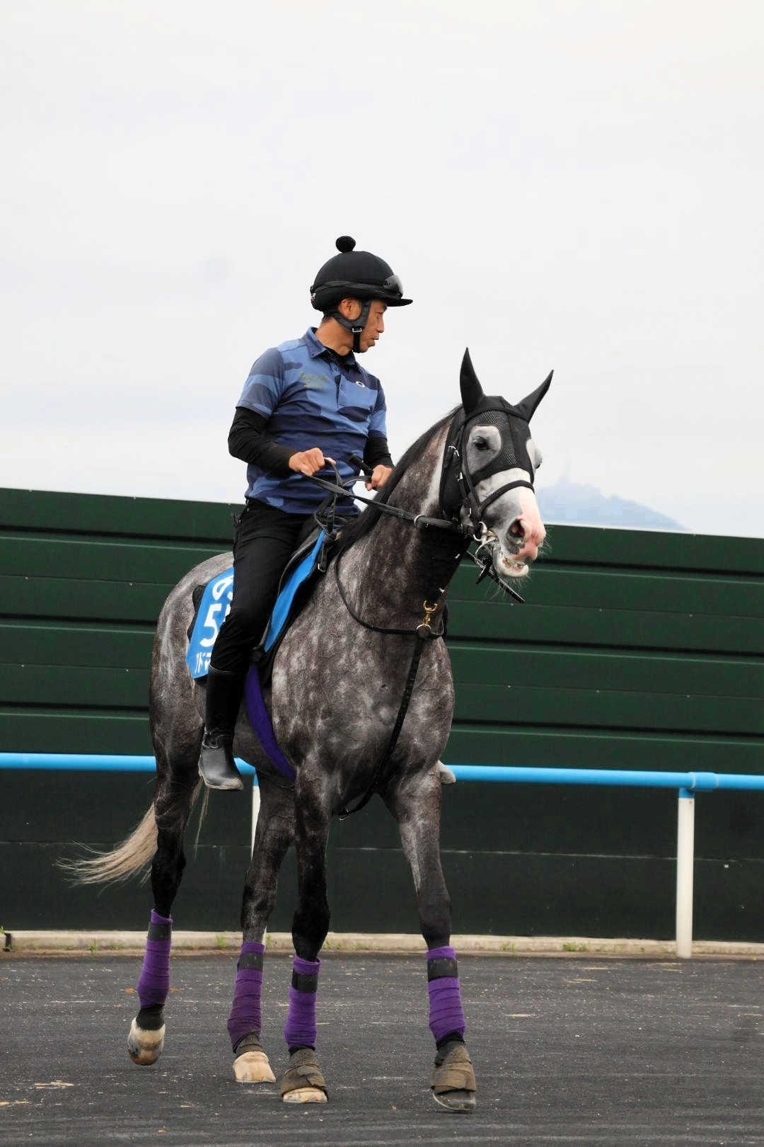 【札幌記念】アドマイヤテラ　凱旋門賞へ必勝の一戦　唯一全項目クリアのデータも後押し