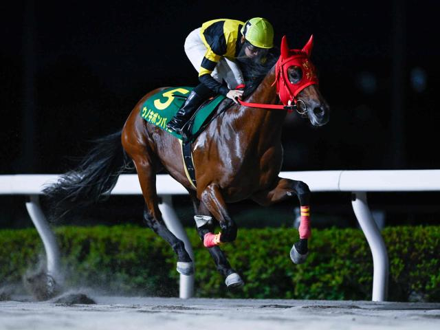 【浦和・ルーキーズサマーC結果】ウノキボンバイエが無傷2連勝で重賞初制覇