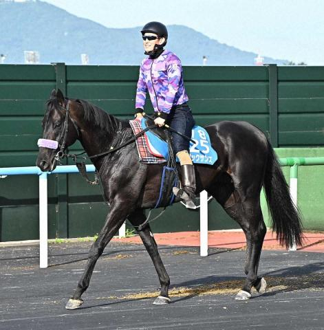 【札幌記念】マジックサンズ　得意の札幌で輝く　2年ぶりの勝利へ仕上がり万全