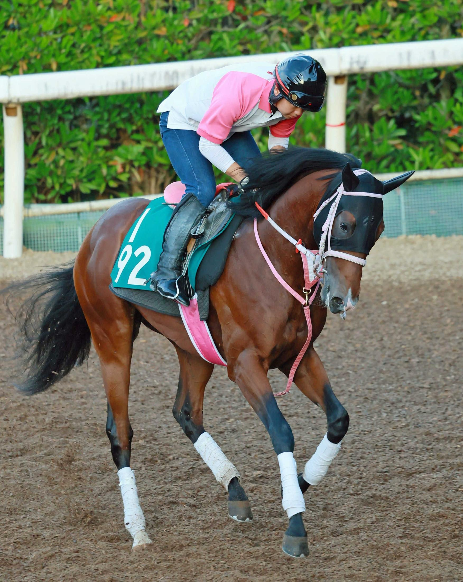 【新馬戦】コルベータに期待大　レシステンシア初子が好発切る「前進気勢はお母さんよりも強いぐらい」