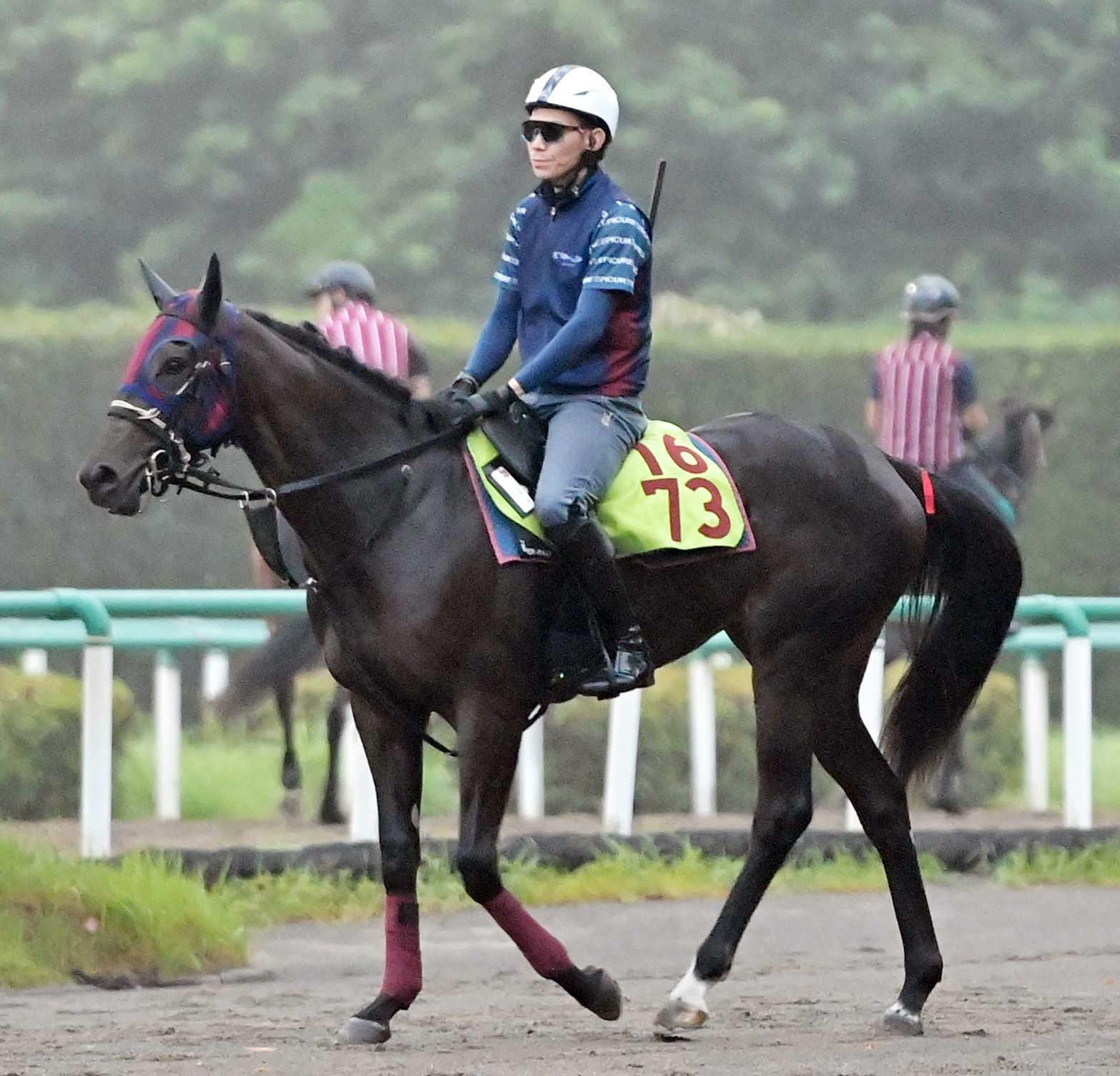 【新馬戦】マルスレジーナ　見栄えする好馬体で合格点の動き　半姉にフローラＳ勝ちのエリカヴィータ