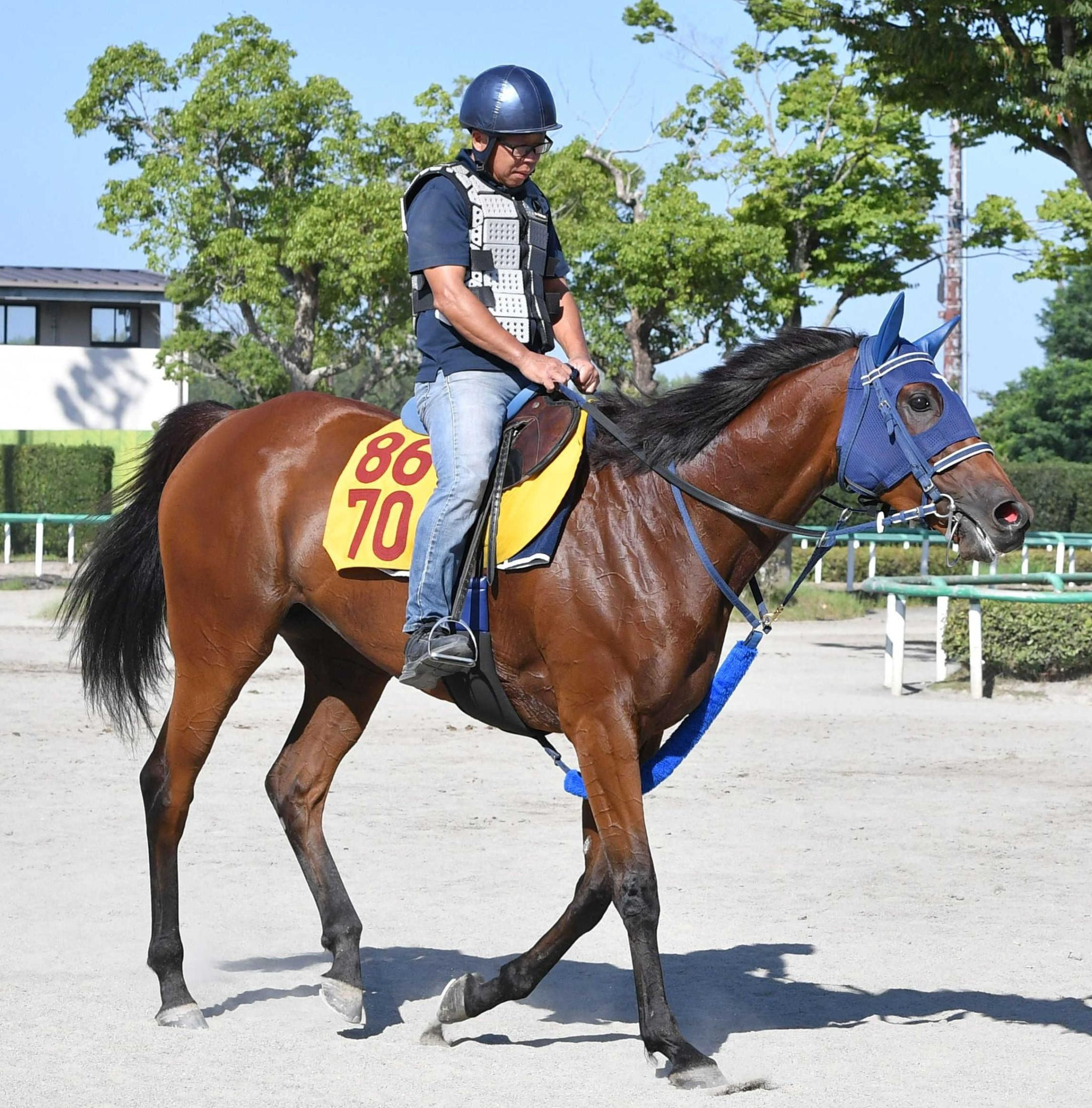 【中京記念】カネラフィーナ　狙う重賞初制覇　未勝利Ｖから４連勝の素質馬　秋の飛躍へここで決める