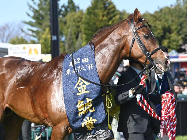 【週末情報】シェイクユアハートが函館Wで力強い動きを披露/馬三郎のつぶやき