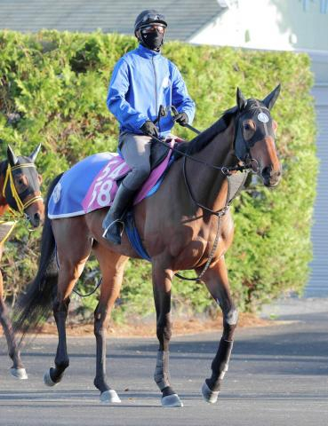【注目馬動向】関東オークスで重賞初制覇のオルフェーヴル産駒　ペンダントはブリーダーズゴールドCで連勝目指す