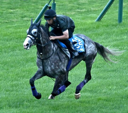 【札幌記念】アドマイヤテラ　ド迫力伸びラスト1F11秒6　英気を養って充実ムード「何の心配もない」