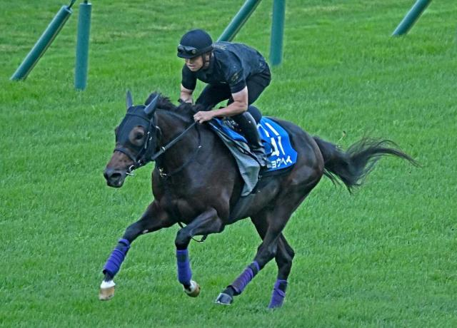 【札幌記念】ショウヘイ上昇気配　初の洋芝も軽やか4F54秒5〜1F11秒5「スピード乗せて走れそう」