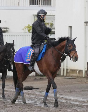 【札幌記念】ホウオウビスケッツ　1週前から激変　意欲的な併せ馬で首差先着「シルエットもすっきり」