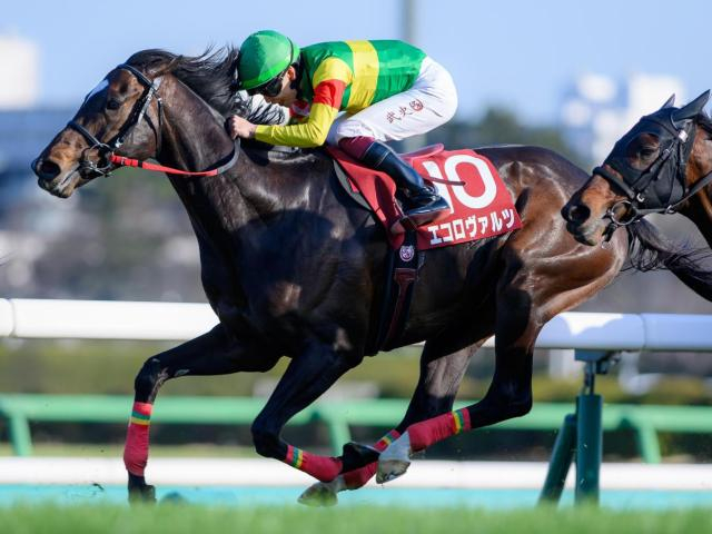 【札幌記念】15回目の挑戦で悲願成就へ エコロヴァルツが初タイトルを狙う