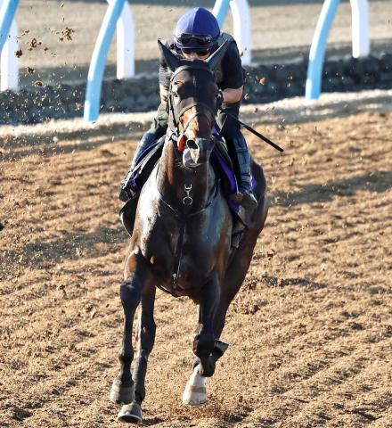 【注目馬動向】佐渡Sでオープン入りした皐月賞3着馬ライヒスアドラーは毎日王冠へ