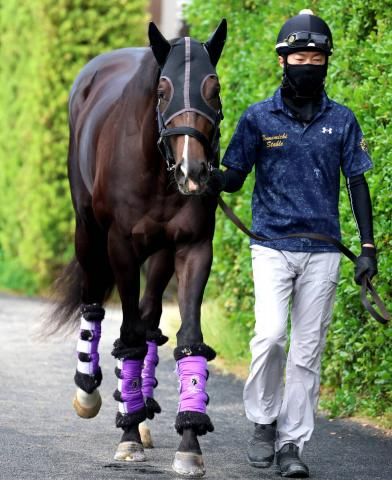 【注目馬動向】5・9億円馬エムズビギンは来週栗東に帰厩　武豊騎手とのコンビで神戸新聞杯から始動
