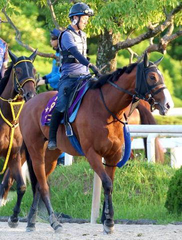 【注目馬動向】ママコチャは武豊騎手とのコンビでセントウルSから復帰　その後は3年ぶりV狙うスプリンターズSへ