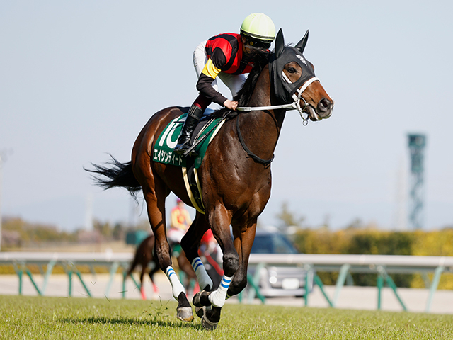 【有力馬動向】北海道の水が合うエイシンディード キーンランドCへ攻め気配は文句なし/馬三郎のつぶやき