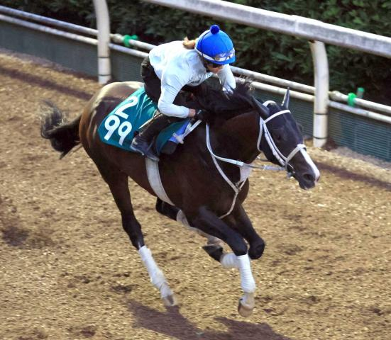 【POG】今村聖奈騎手の手綱で重賞ウィナーの母と姉を持つ良血馬がデビュー　「調教を重ねるごとに良くなっています」