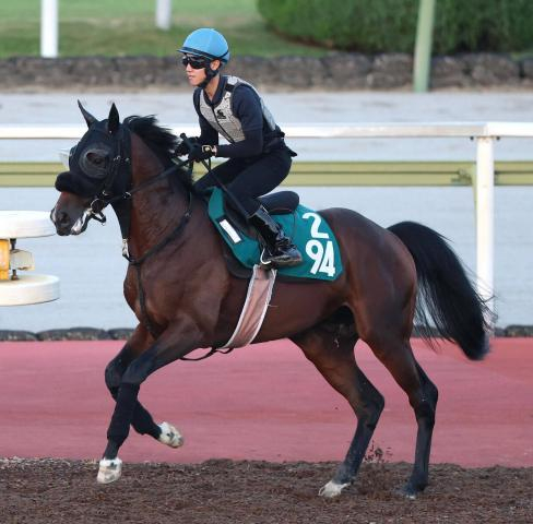 【POG】重賞勝ち馬と互角に動いたデュアルサインに注目　武幸調教師「動きだけならかなりいい」