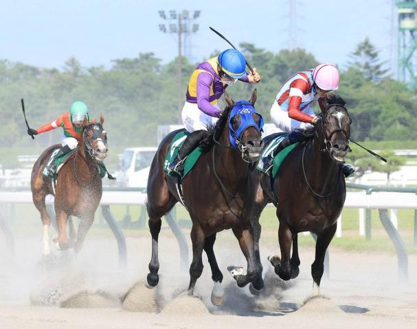【注目馬動向】レパードS勝ちのチェリヴェントはJDクラシックに参戦　3歳ダート3冠「最後の1冠」を狙う