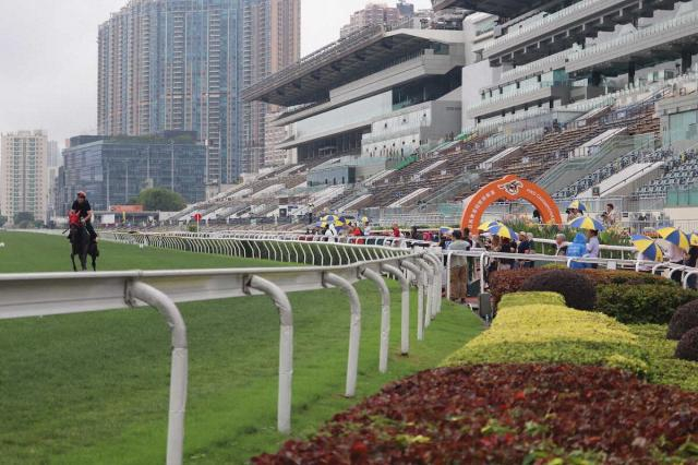 香港馬ファストネットワークは25日に関西空港着のフライトで来日　セントウルSに予備登録済み