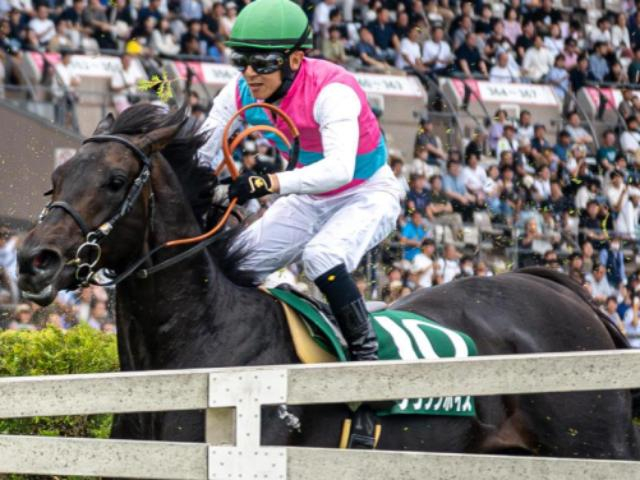 二冠馬ロブチェンの半兄 ブラックボイスが新潟JSで重賞初制覇狙う