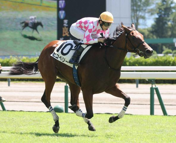 【新潟3R・新馬】2番人気ピコベリーが差し切る　津村「いい決め手を持っている。直線では凄い脚だった」