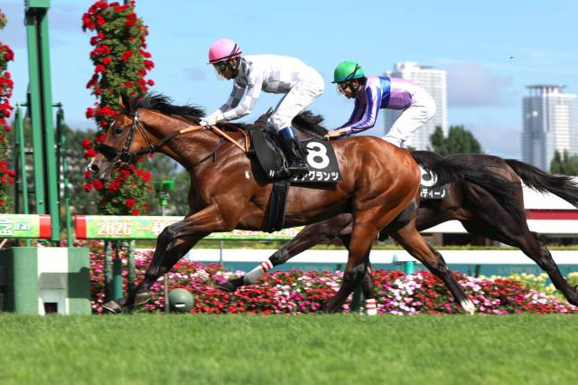 【札幌9R・コスモス賞】2番人気デアグランツが差し切り連勝　浜中俊騎手「手応え通りかわしてくれました」