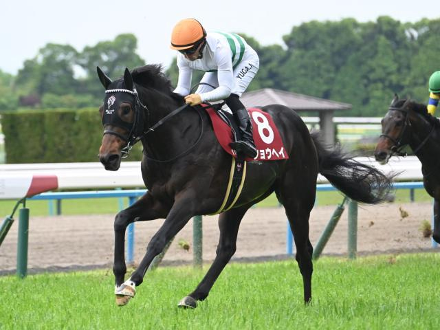 【札幌記念・馬体重】ショウヘイは464kg(-12)、アドマイヤテラは494kg(-6)